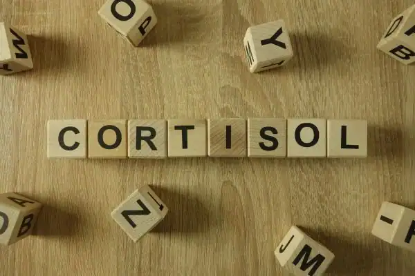 The Hidden Connection: How Stress Shapes Your Fitness and Body Composition 2 Image saying "Cortisol" and how stress York impacts your wellbeing and bodies shape